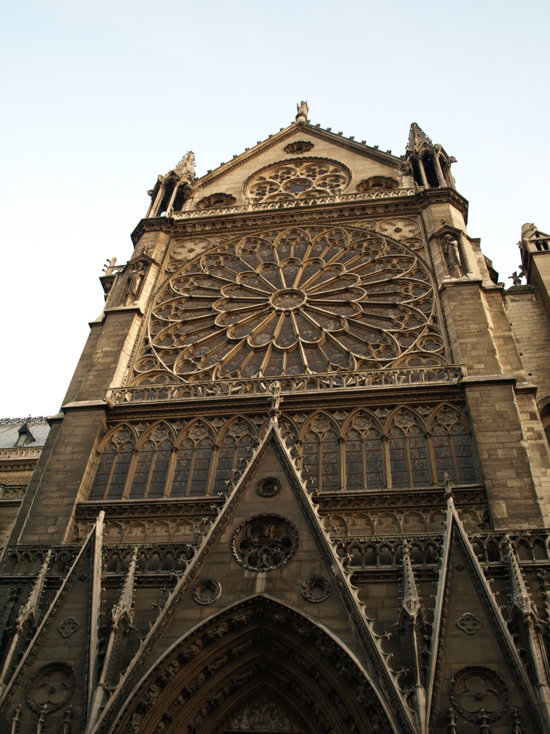 Giant Floral Window